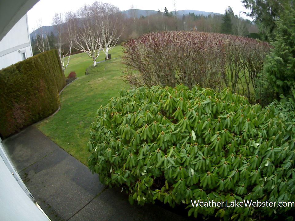 Got my Logitech Alert security cams working as weather cams!