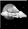Tonight: Increasing clouds, with a low around 52. North northwest wind around 5 mph becoming calm in the evening. Tonight: Increasing clouds, with a low around 52. North northwest wind around 5 mph becoming calm in the evening.